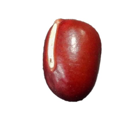 BEAN Clicker by Eron .